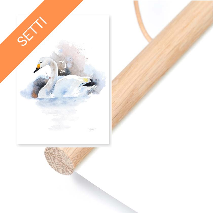Schwan Poster und Bilderrahmen Set, Kunst aus finnischer Natur, hergestellt in Finnland, EsterVisual und Teemu Järvi Illustrations