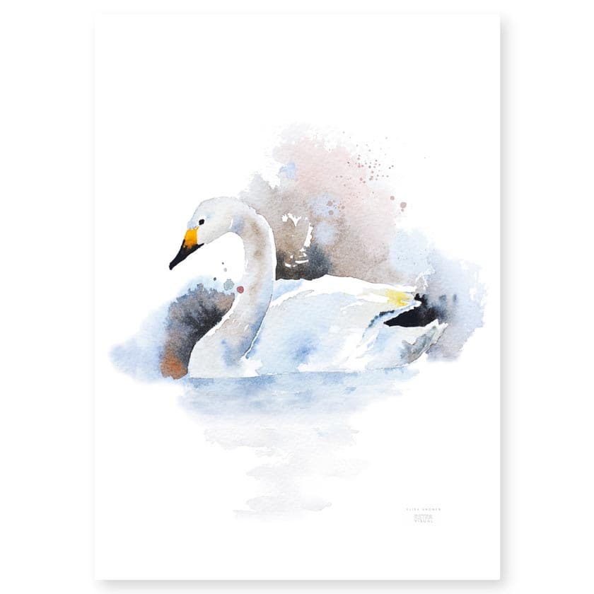 Joutsen juliste suomalainen luonto ester Visual kotimainen