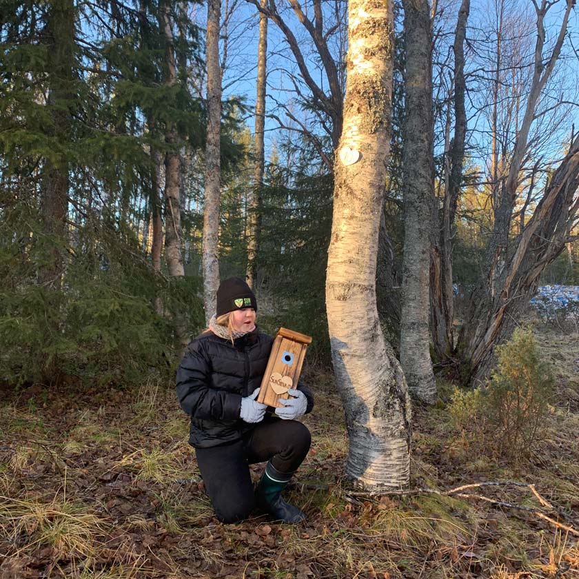 Oma puu ja linnunpönttö lahjaksi Sunsilva metsien puolesta