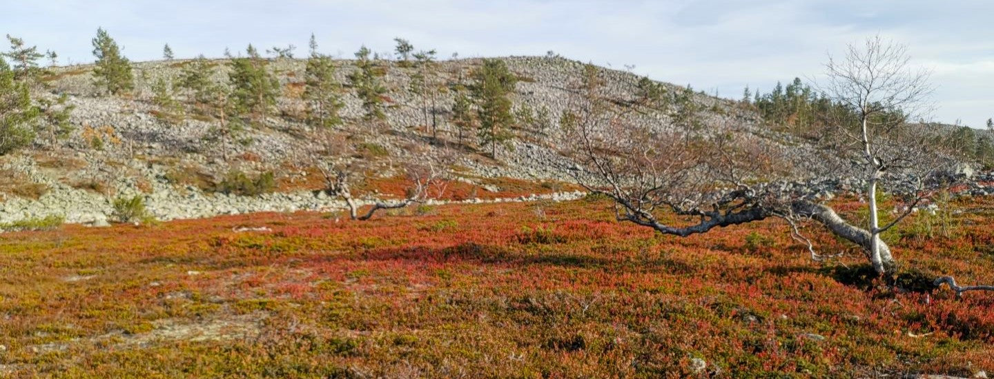 Matkamuistoja Suomesta