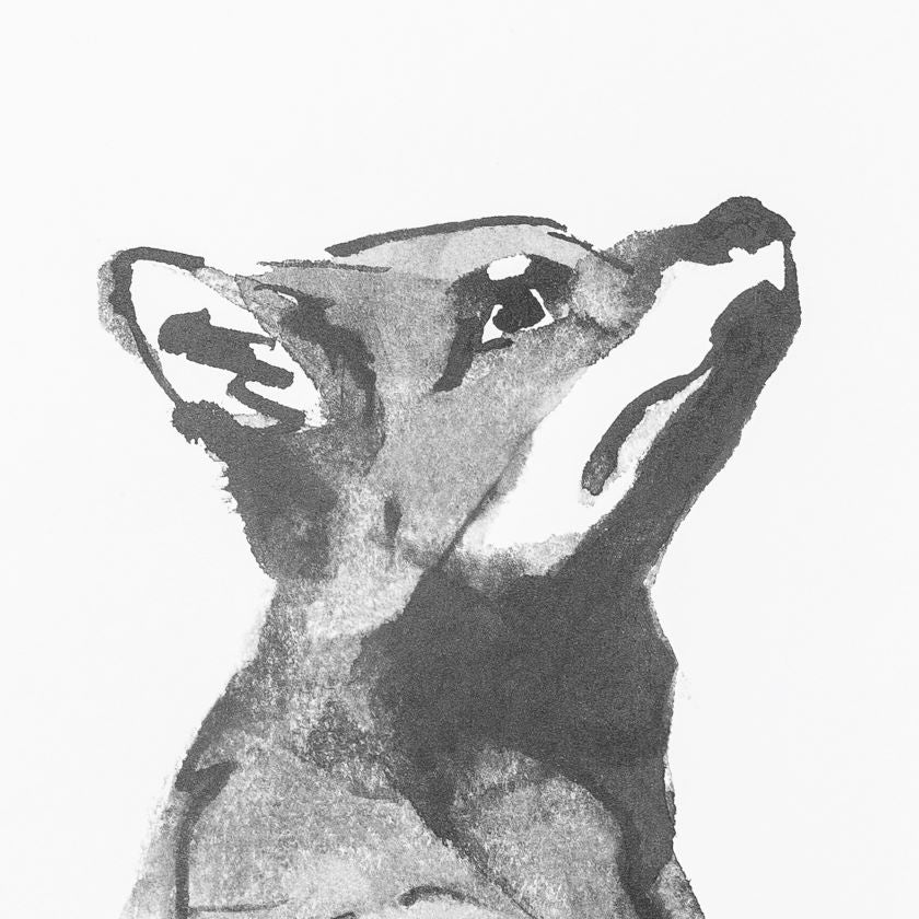 Mustavalkoinen kettu piirros, Teemu Järvi Illustrations