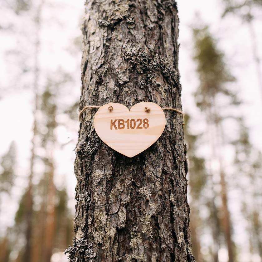 Oma Puu lahjaksi ekologinen ja aineeton lahja Sunsilva metsien puolesta