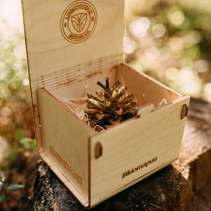 Oma Puu lahjaksi ekologinen ja aineeton lahja Sunsilva metsien puolesta kultainen käpy puisessa laatikossa