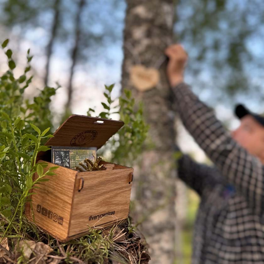 Oma puu lahjaksi - metsä kiittää