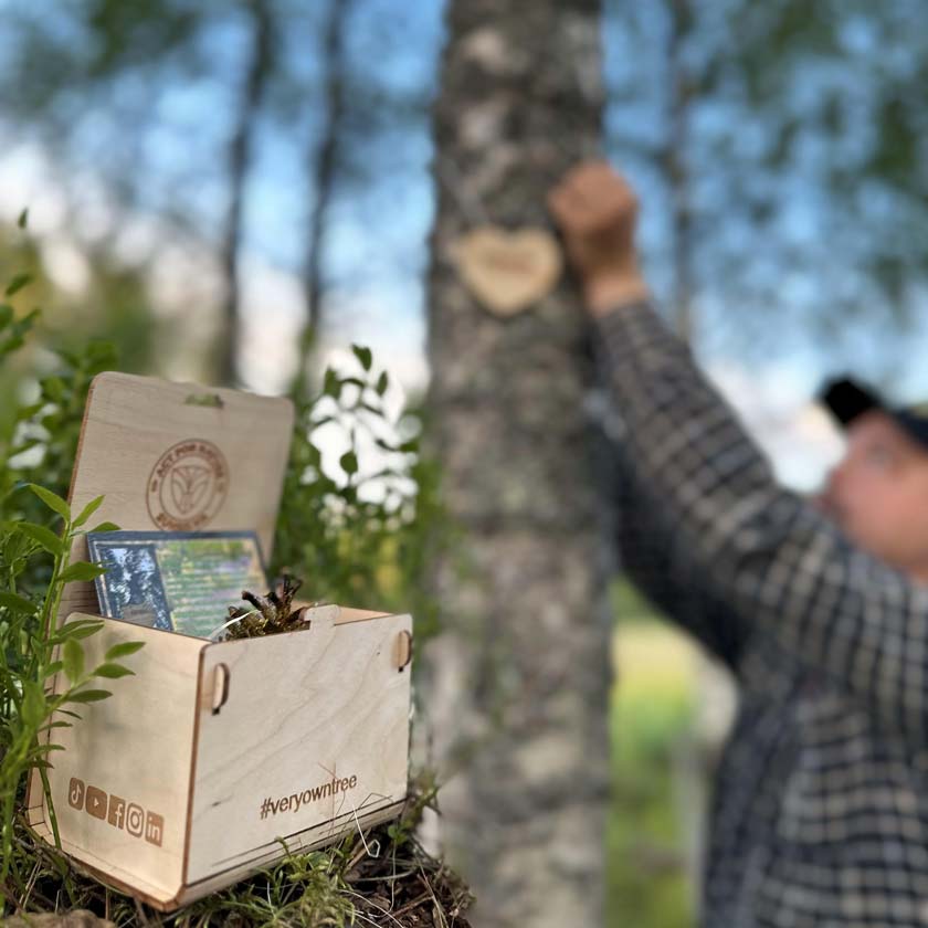 Oma Puu lahjaksi ekologinen ja aineeton lahja Sunsilva metsien puolesta