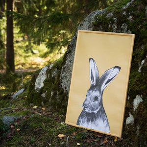 Miiko design Jänis juliste 50 x 70 suomalainen