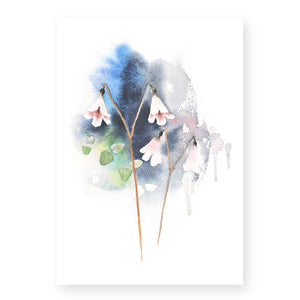 Kukkajuliste Vanamo suomalainen kasvi juliste Ester Visual 50 x 70