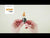 Pikku-Myy video