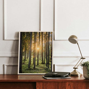 Metsän keskellä Niko Laurila valokuva Plywood Print puutaulu
